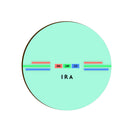 ColorsStrip Coaster